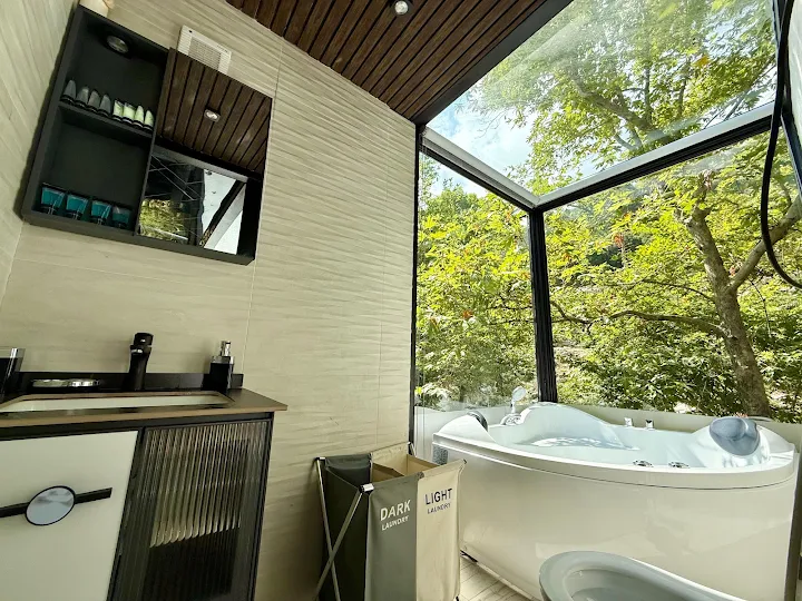 Bathroom with skylight and jacuzzi overlooking forest